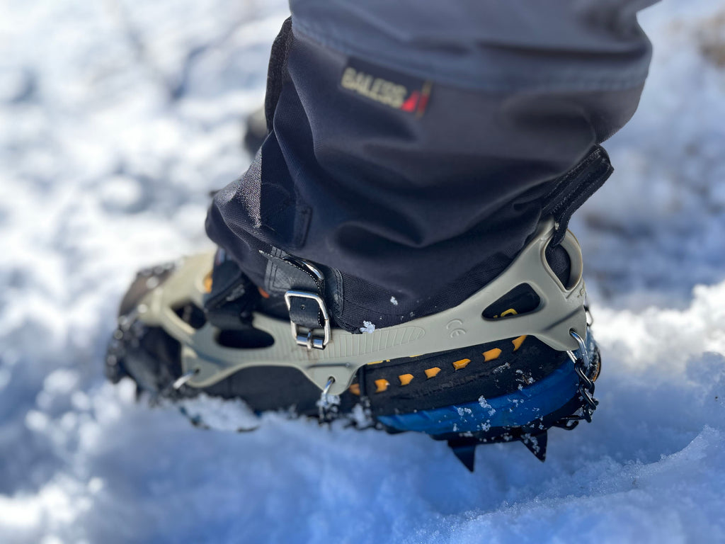 IMG_2127B_1024x.jpg?v=1768102435