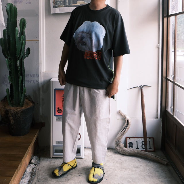 BAMBOO SHOOTS "MOUNTAIN HIKE PANTS /n" [送料無料]