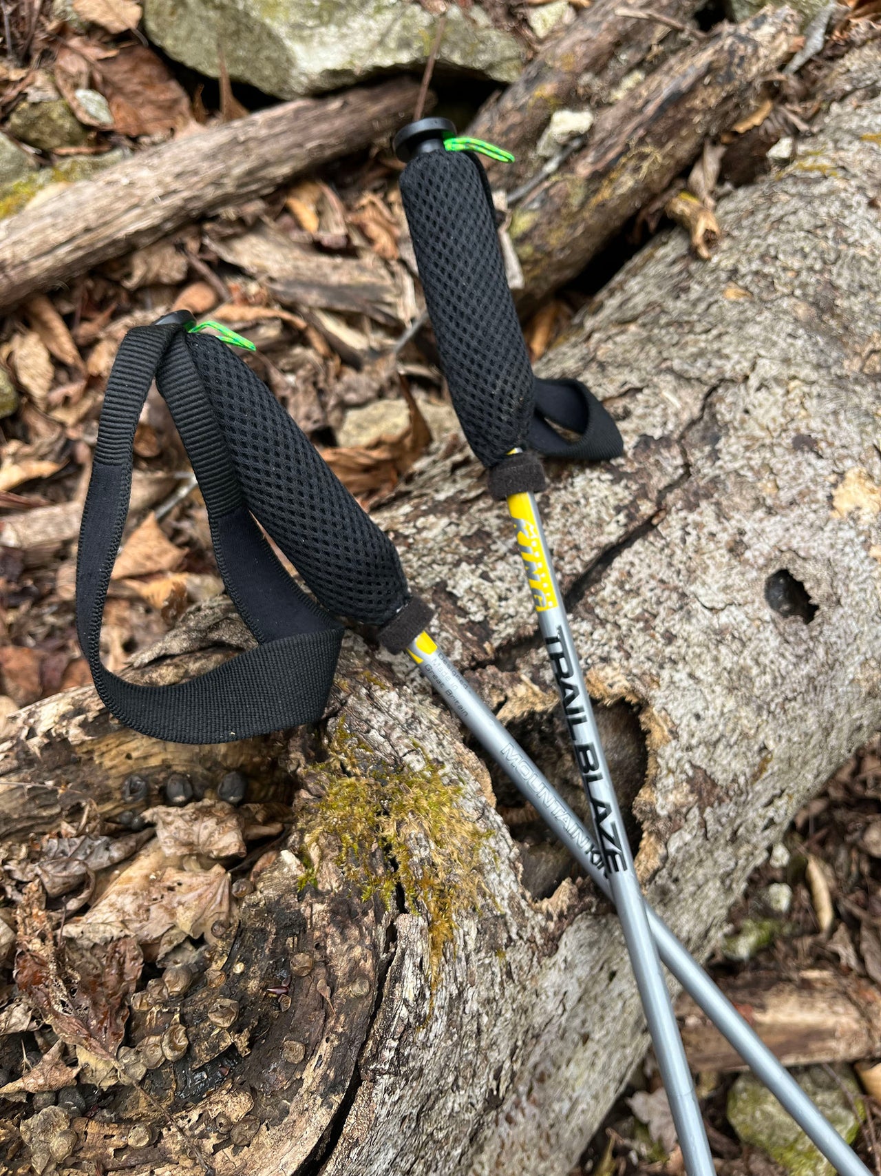 MOUNTAIN KING TRAILBLAZE ALU Unicolore - Bastoncini trail